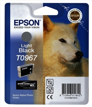 Epson Singlepack Light Black T0967