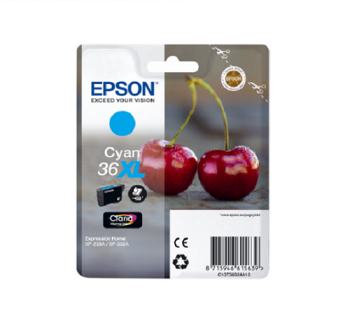 Epson Singlepack Cyan 36XL Claria Home Ink