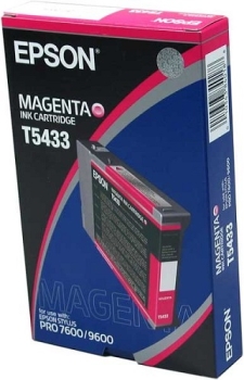 Epson Singlepack Magenta T543300