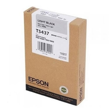 Epson Singlepack Light Black T543700 