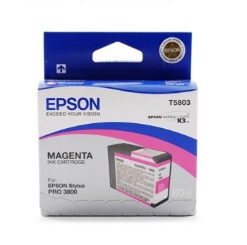 Epson Singlepack Magenta T580300