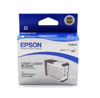 Epson Singlepack Light Light Black T580900