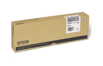 Epson Singlepack Light Black T591700