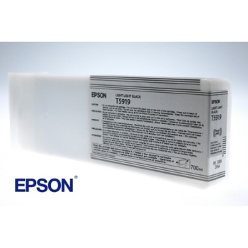 Epson Singlepack Light Light Black T591900 