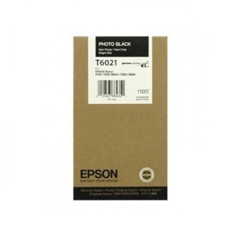 Epson Singlepack Photo Black T602100