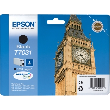 Epson T7031 L Black 1.2k Ink Cartridge